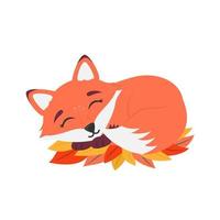 Cute Fox Cub Sleeping on a Pillow of Autumn Leaves vector