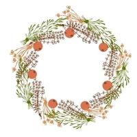 Wreath of Dry Herbs and Berries for postcards, posters. Decor element Dried flowers collected in a circle. Vector illustration
