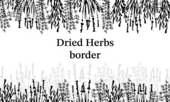 frontera hierbas secas, flores secas. medicina natural. ilustración vectorial en blanco y negro vector