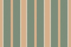 Vertical lines stripe background. Vector stripes pattern seamless fabric texture. Geometric striped line abstract design.