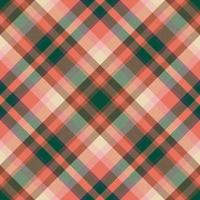 Plaid pattern vector. Check fabric texture. Seamless textile design for clothes, paper print. vector