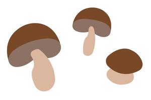 Set of cute mushrooms with brown caps, flat style. Vector illustration isolated on white background.