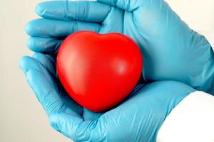 young female doctor holding a red heart standing on a white background photo