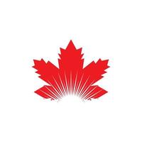 Maple leaf vector illustration