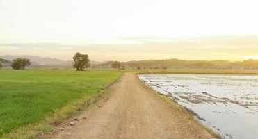 country road on natural scenery background mountains forest evening sky. rice field, concept of path to nature photo