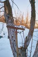 garden rakes in winter, in anticipation of spring work photo