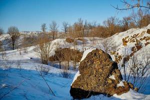 rock over the forest against a white snowy sky. photo