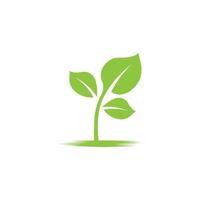 eco tree leaf icon vector