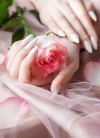 Hands of a young woman with white manicure on nails photo