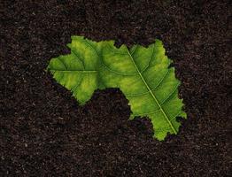 Guinea map made of green leaves on soil background ecology concept photo