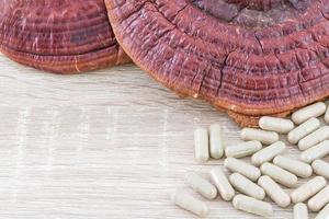 Ling zhi mushroom or Ganoderma lucidum capsule photo