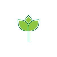 eco tree leaf icon vector