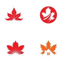 Maple leaf vector illustration