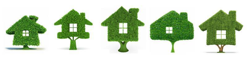 3D illustration, Green grass home icon. photo