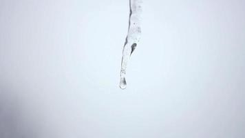 Ice drips melting video