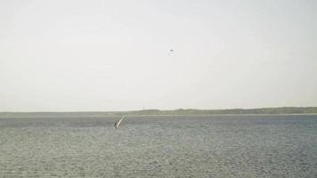 het windsurfen Bij een meer, in Letland. video