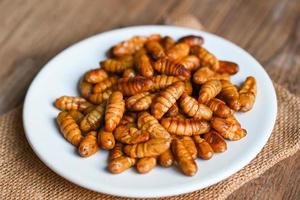 pupa sobre fondo de placa blanca, gusanos de seda fritos - pupa frita para gusano de escarabajo de comida foto