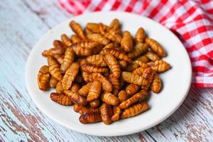 pupa on white plate background, fry silk worms - fried pupa for food beetle worm photo