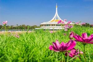 Pink flowers and Suan Luang Rama IX, a place to relax and exercise in Kruthep, Thailan photo