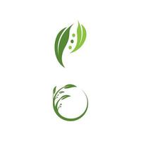 Olive leaf vector illustration design