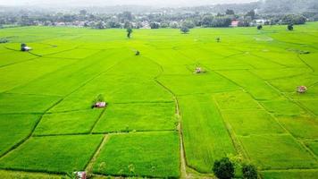 Rice fields on terraced in rainy season photo