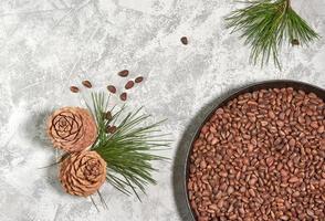 Cedar or pine nuts in a bowl with cones on gray background and a branch of a cedar tree with green needles photo