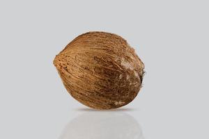 Studio shot of whole coconut isolated on a grey background. photo