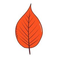 Autumn leaf. Vector illustration in hand drawn style