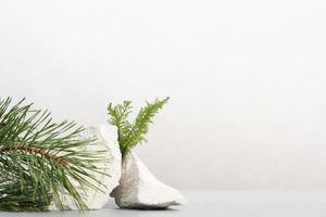 Abstract nature scene with stones and pine tree branch. Neutral grey background with podium for householding or beauty product, branding, packaging mockup. Copy space photo