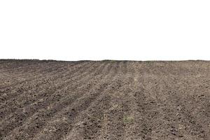 Pattern of rows in a plowed field on an isolated white background. photo