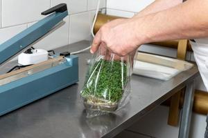 Packaging of the harvest of micro-green peas for sale in the supermarket.Production of environmentally friendly nutrition, blurred focus photo