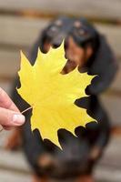 human hands hold an autumn maple leaf near a Dachshund dog photo