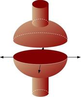 A plane joint is a synovial joint which, under physiological conditions, allows only gliding movement vector