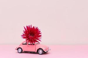 Pink toy car delivering pink crimson chrysanthemum flower. Valentine's day photo