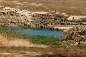 Nature and landscapes of the Dead-salty sea. photo