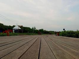 A view of the sky and sea with plants on the right and left and a wooden path in the middle. photo