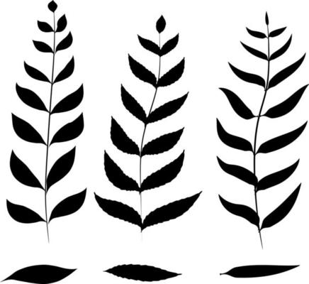 Illustration of assorted plant leaves in one color