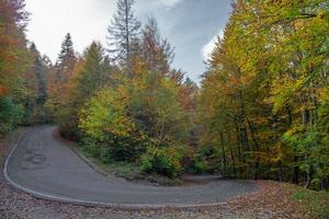 Mountain road in the autumn photo