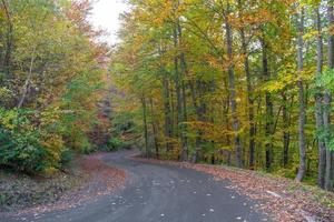 Mountain road in the autumn photo