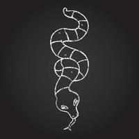 Snake Chalk Drawing vector