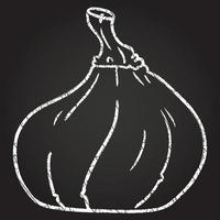 Squash Chalk Drawing vector