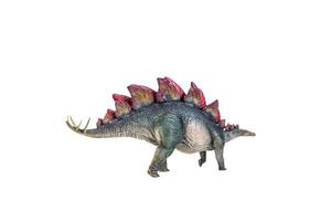 dinosaurio, estegosaurio fondo aislado foto