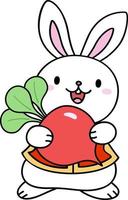 Rabbit Holding Radish vector