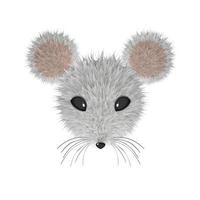 Realistic Mouse Head. Fur Effect vector