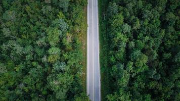 Arial view of a highway through a forest at sunset photo