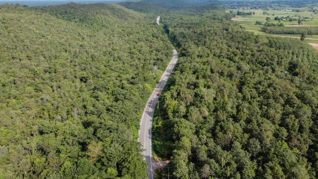 Arial view of a highway through a forest at sunset photo