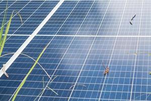 background of photovoltaic modules for renewable energy photo