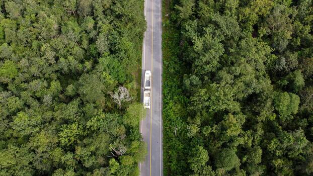 Arial view of a highway through a forest at sunset photo