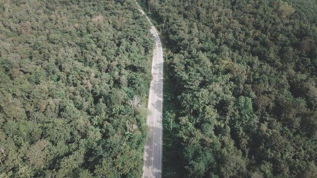 Arial view of a highway through a forest at sunset photo