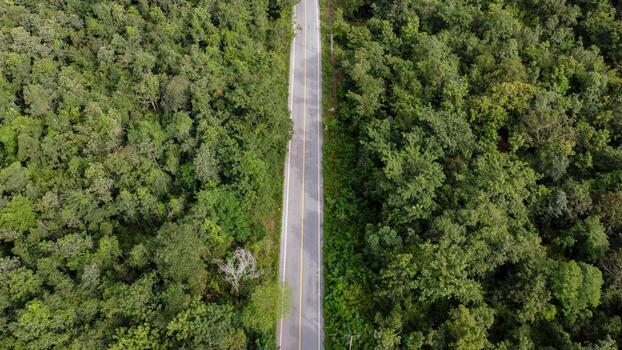 Arial view of a highway through a forest at sunset photo